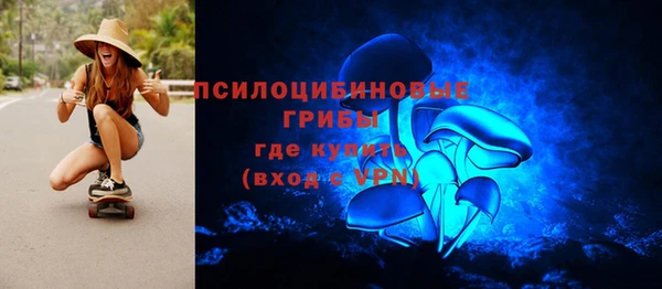 герыч Алексин