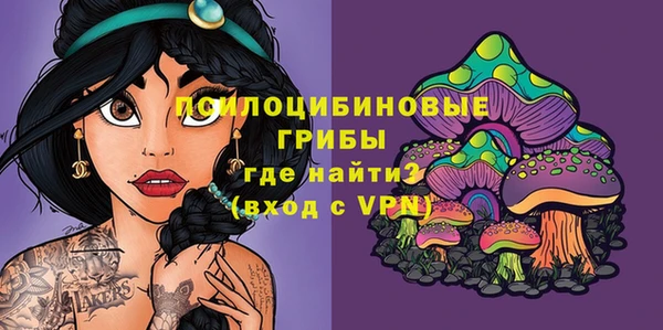 таблы Алзамай