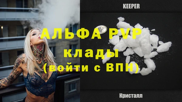 гашик Снежинск