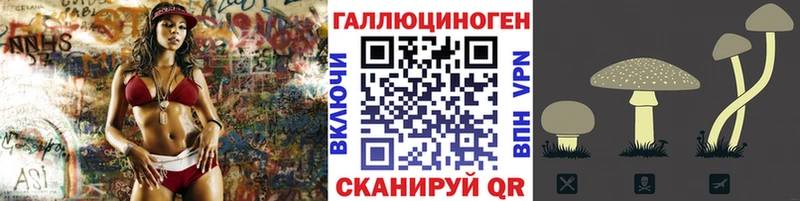 купить наркотик  Вологда  omg ONION  Псилоцибиновые грибы Psilocybe 